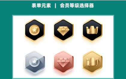 会员等级选择器